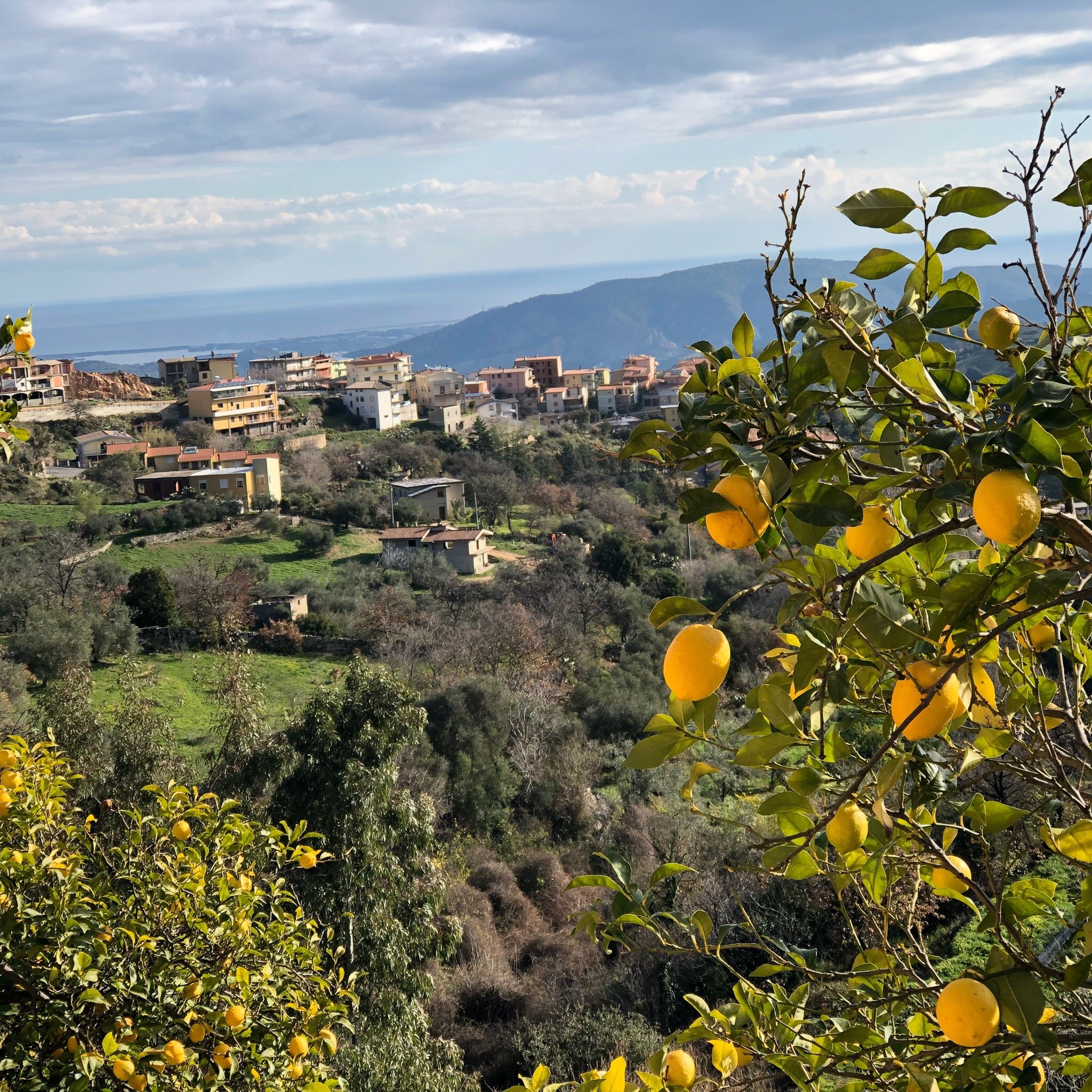 B&B Le Roverelle-官方