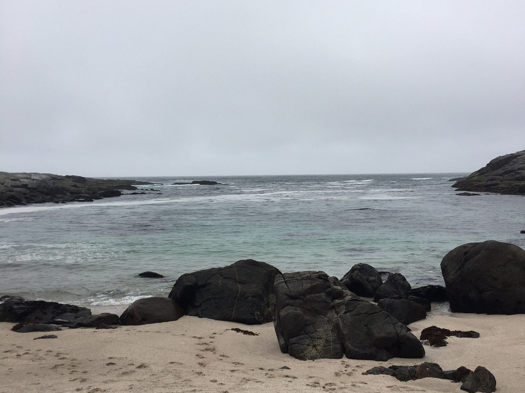 Playa Zapallar-萨帕亚尔必去景点