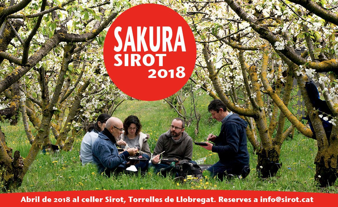 Bodega Sirot-托雷利亚斯-德略布雷加特必去景点