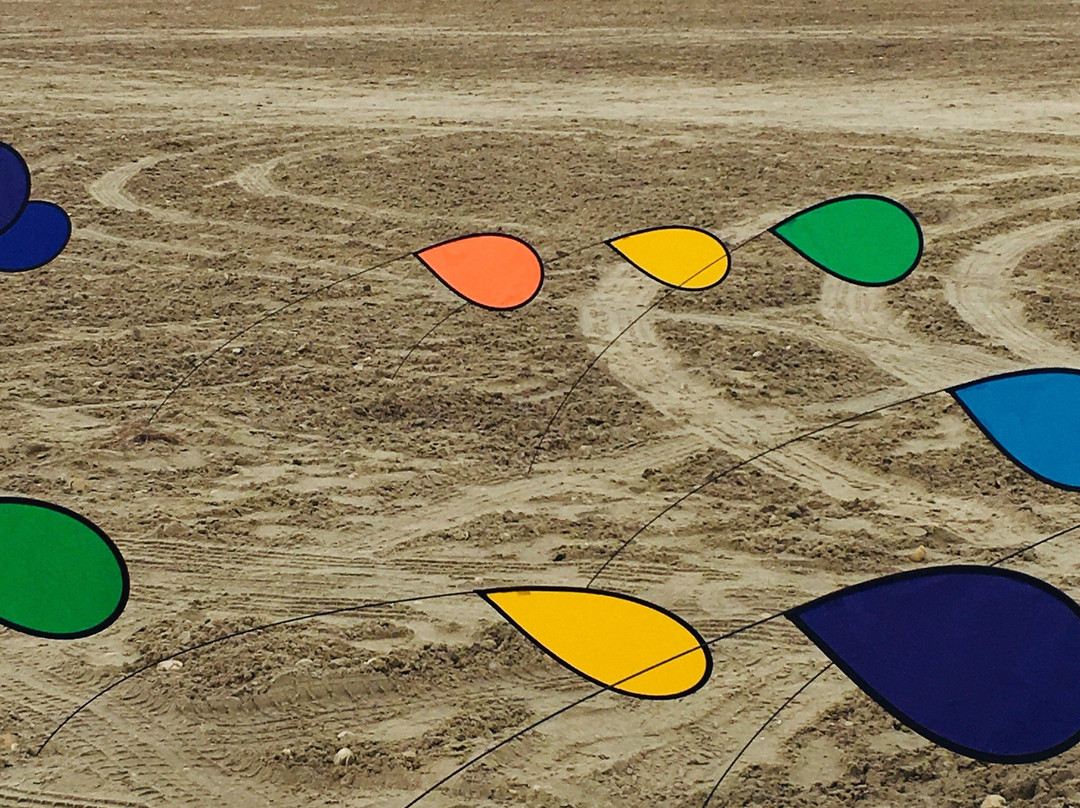 South Padre Island Convention Centre-南帕诸岛必去景点