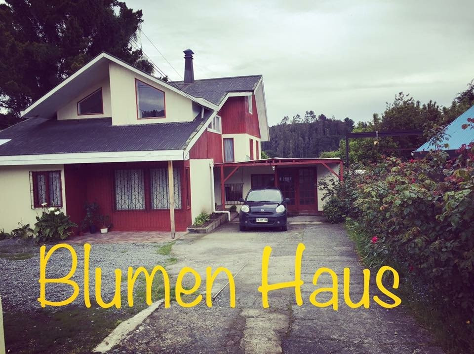 Blumen Haus主图