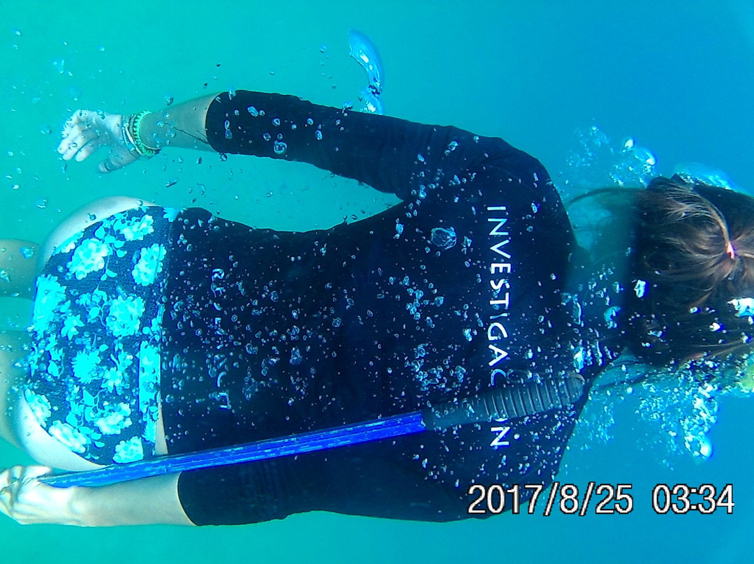 Noa Noa Surfari Sailing景点图片