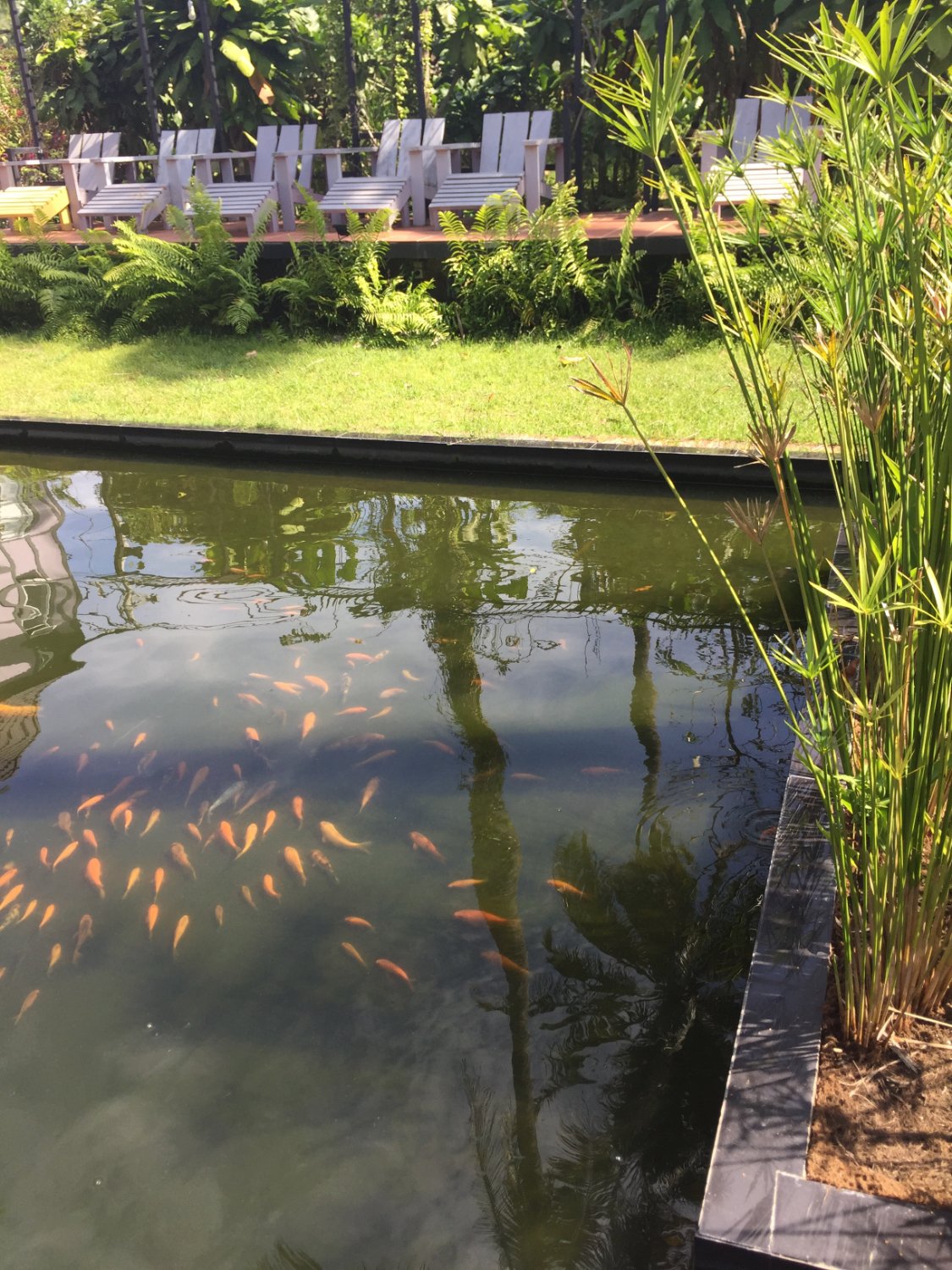 Coco Valley Garden Hotel-泳池