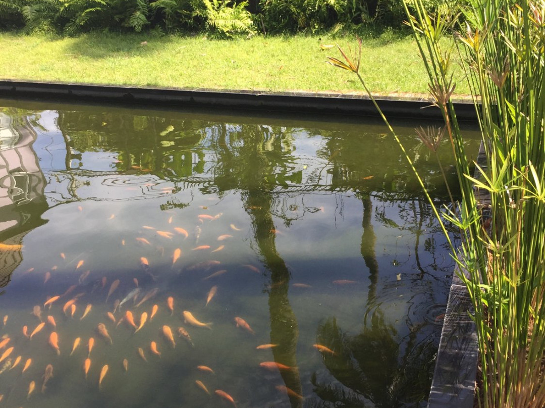 Coco Valley Garden Hotel主图