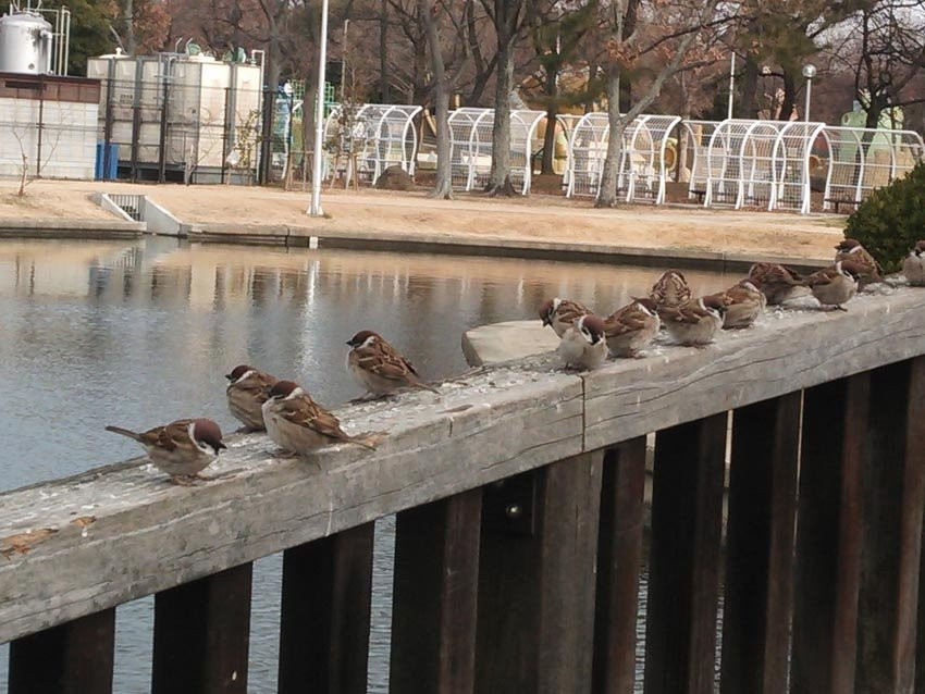 Kyuhojiryokuchi-八尾市必去景点