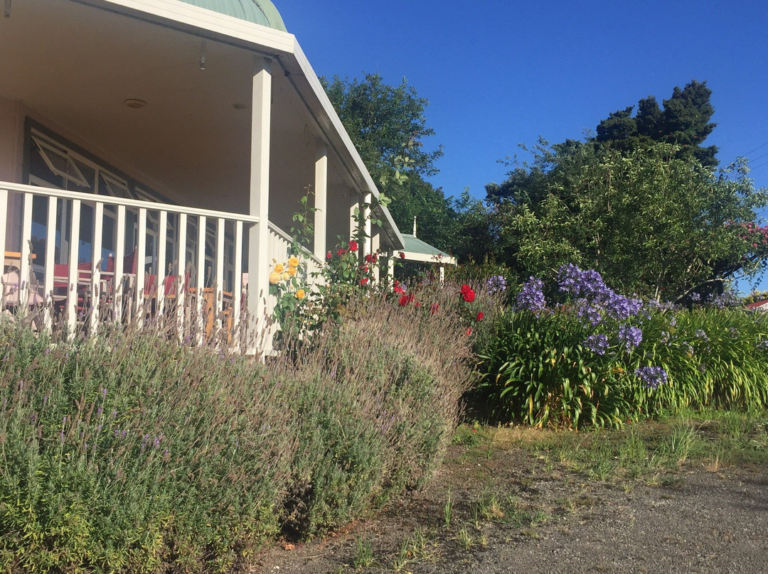 Matakohe House B&B Hotel主图