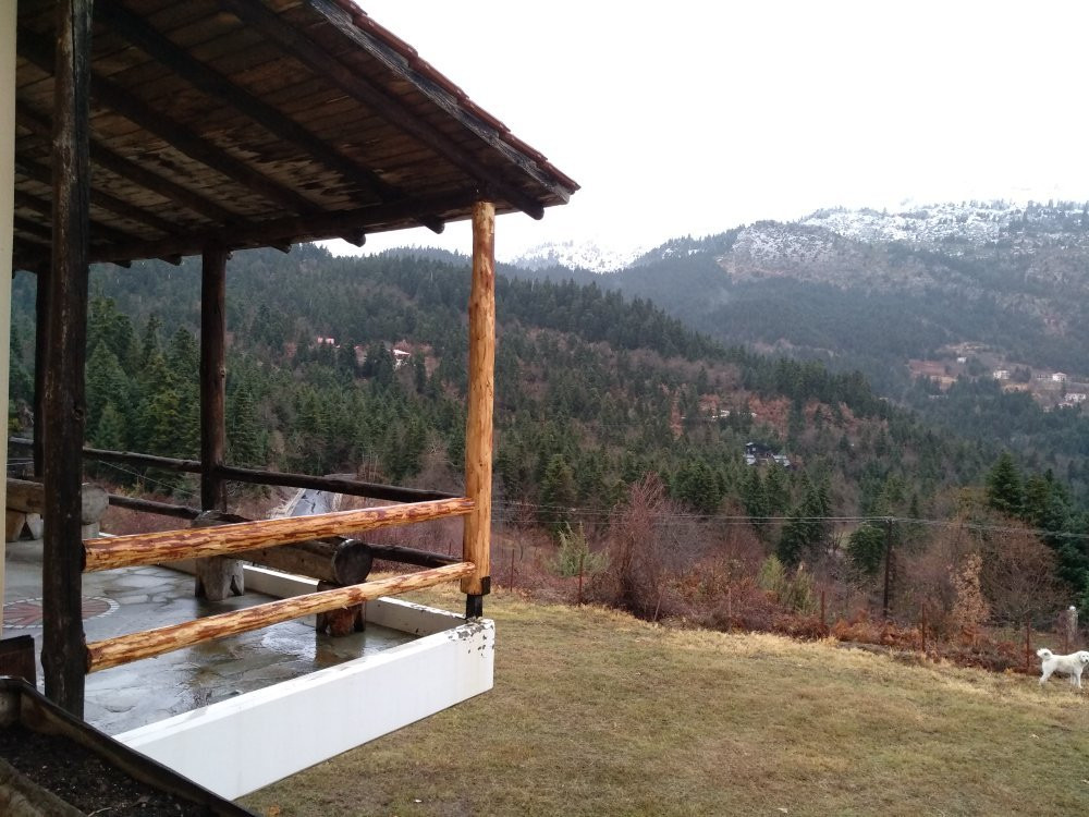 Pertouli餐馆和美食-I Vlacha