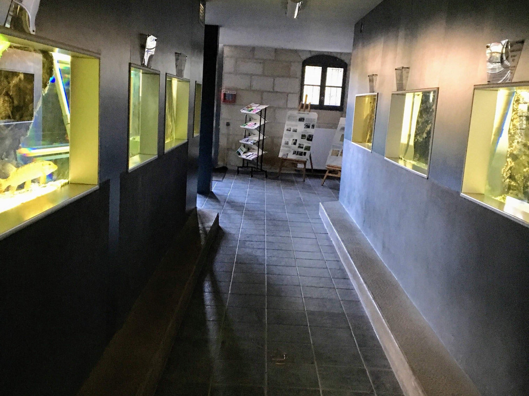 Maison de la Nature景点图片