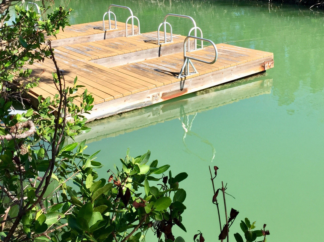 Oceanfront Park-马拉松必去景点