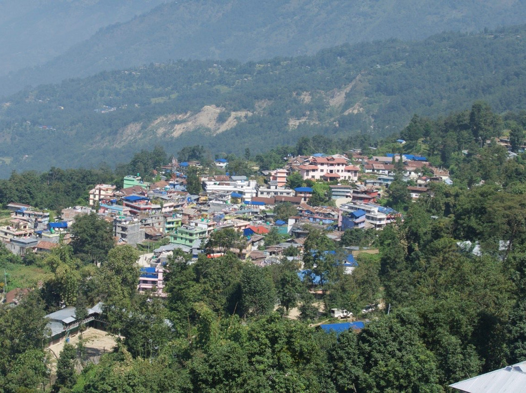 Mewa Khola Hill Resort主图