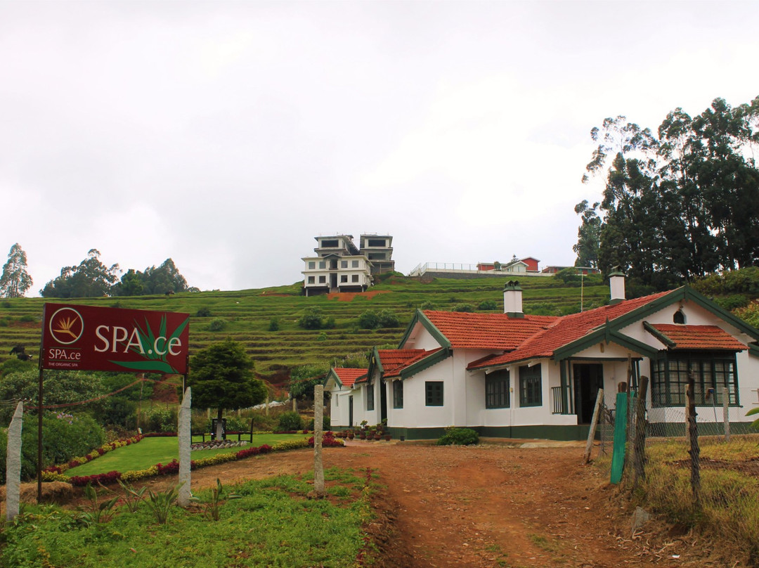 Spa.ce The Spa景点图片