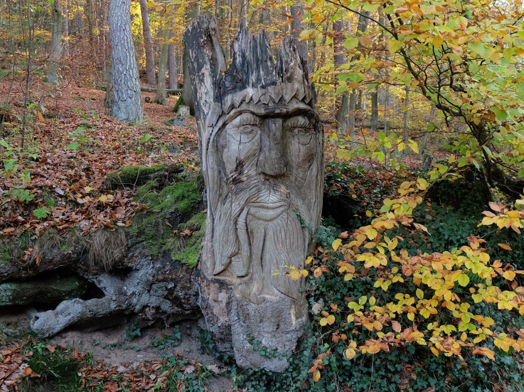 Barenlochweiher-Kindsbach必去景点