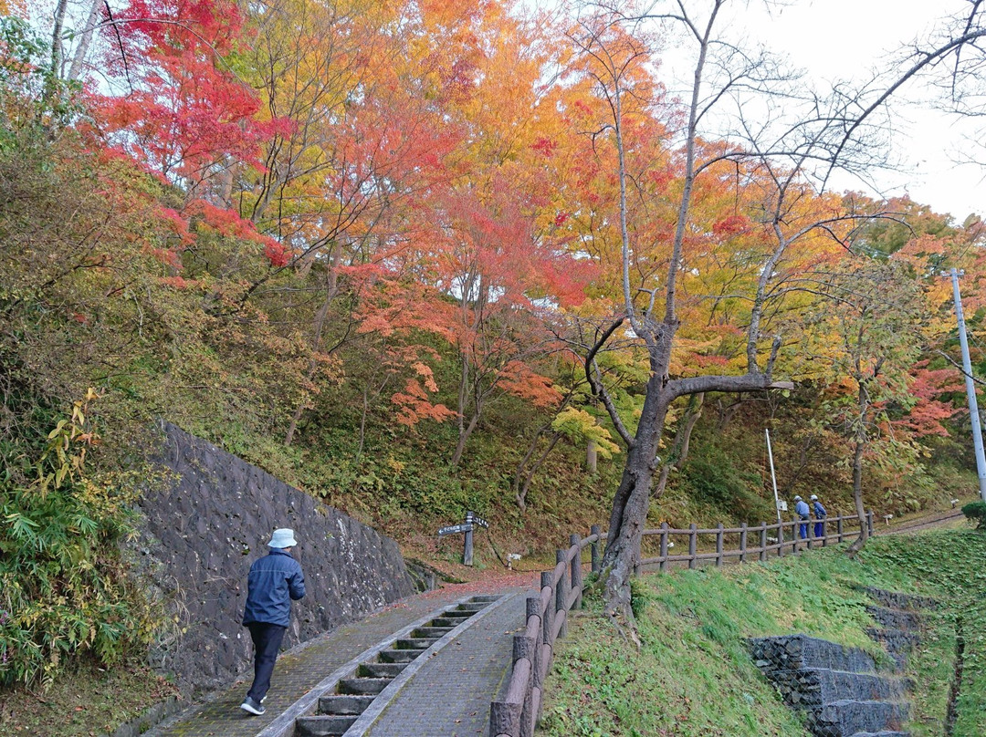 Tsuriyama Park景点图片