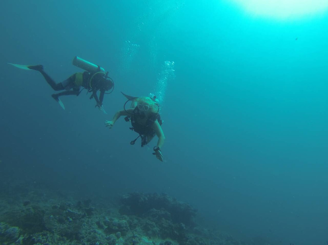 Fish Head Dives & Water Sports-Hangnaameedhoo Island必去景点