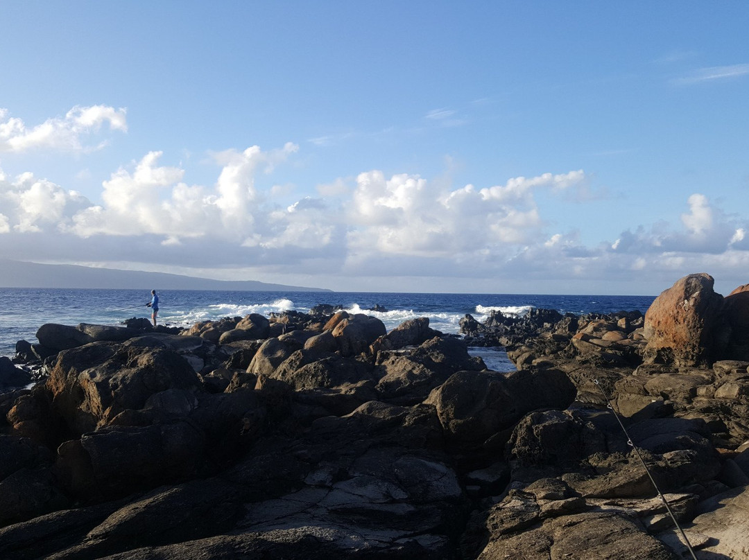 All About Fish-拉海纳必去景点