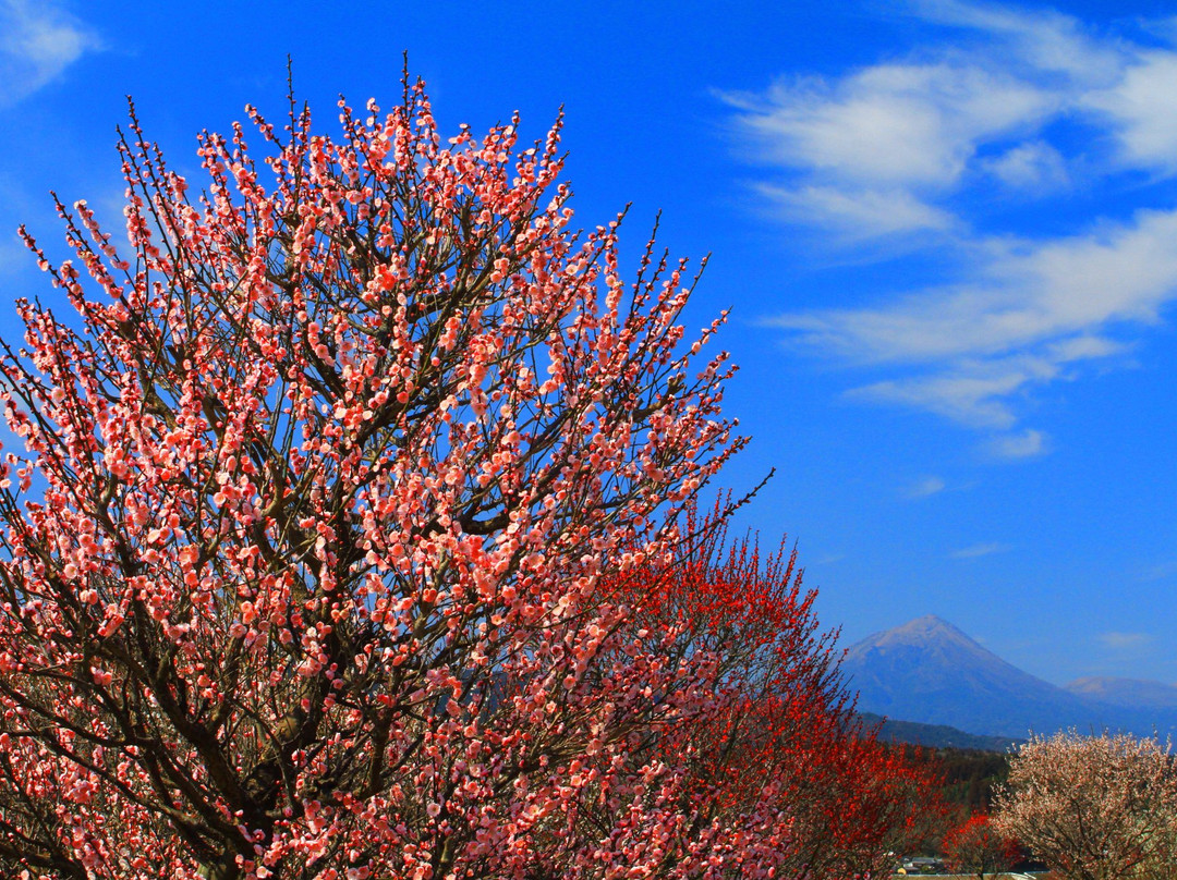 Takasaki Town General Park-都城市必去景点