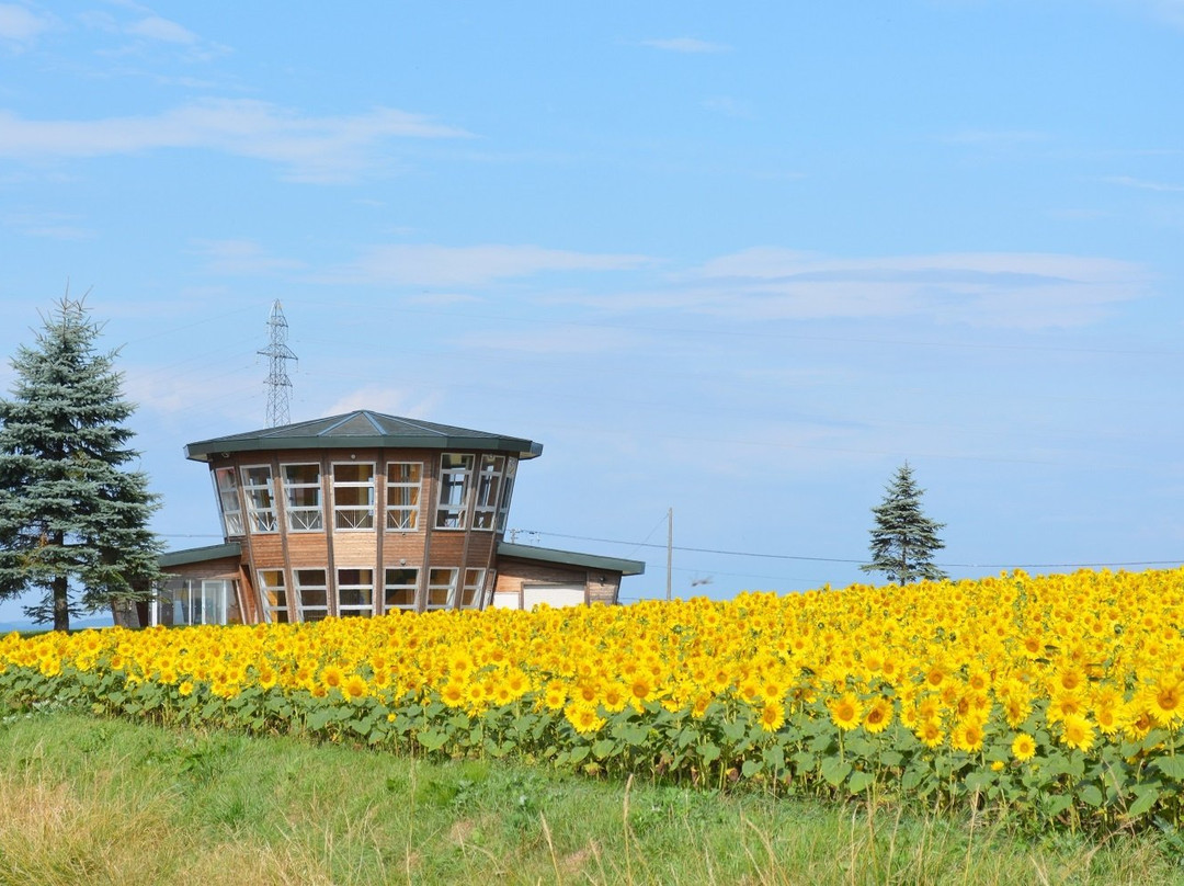Asahigaoka Viewing Platform-大空町必去景点