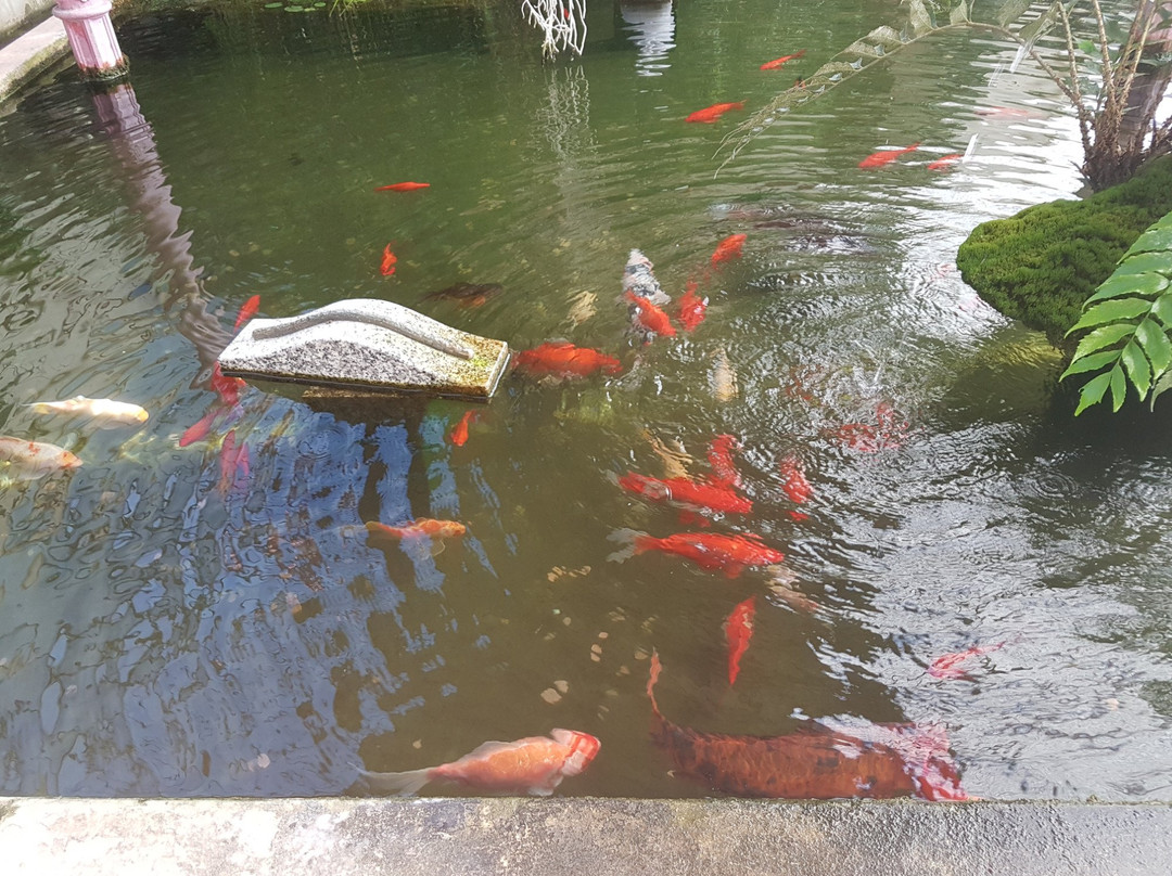 Stadtpark景点图片