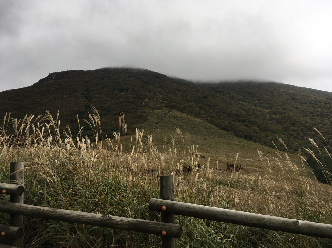 Ganwoljae Plateau-蔚山必去景点