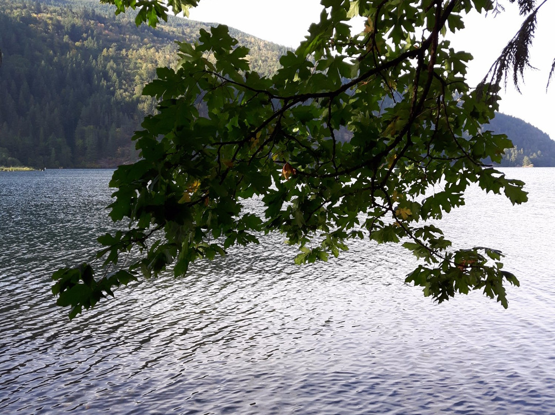 Cultus Lake景点图片