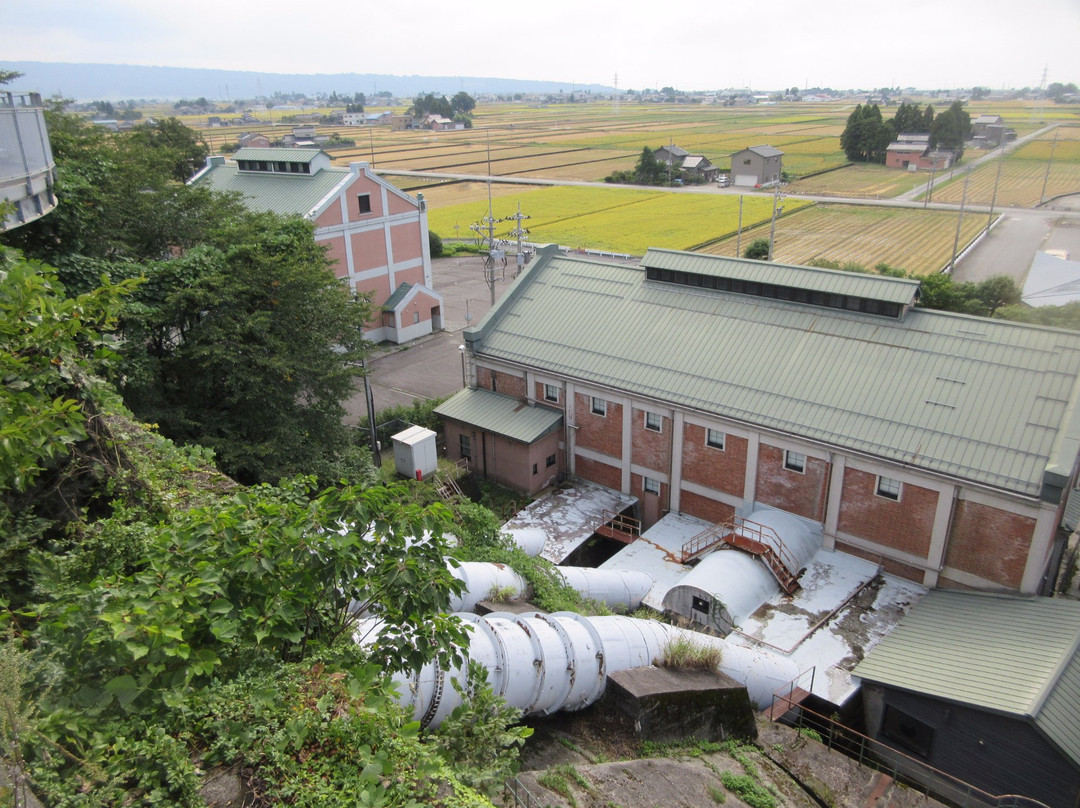 Nizayama Forest Art Museum-入善町必去景点