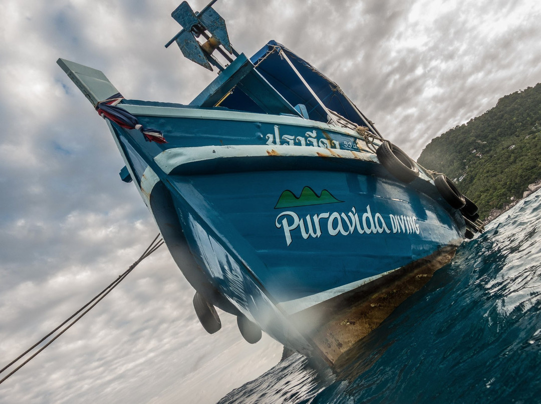 Pura Vida Diving-涛岛必去景点