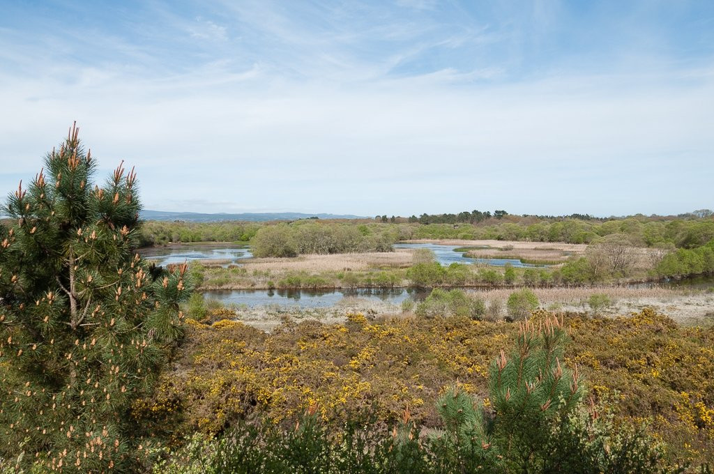 Laguna de Cospeito景点图片