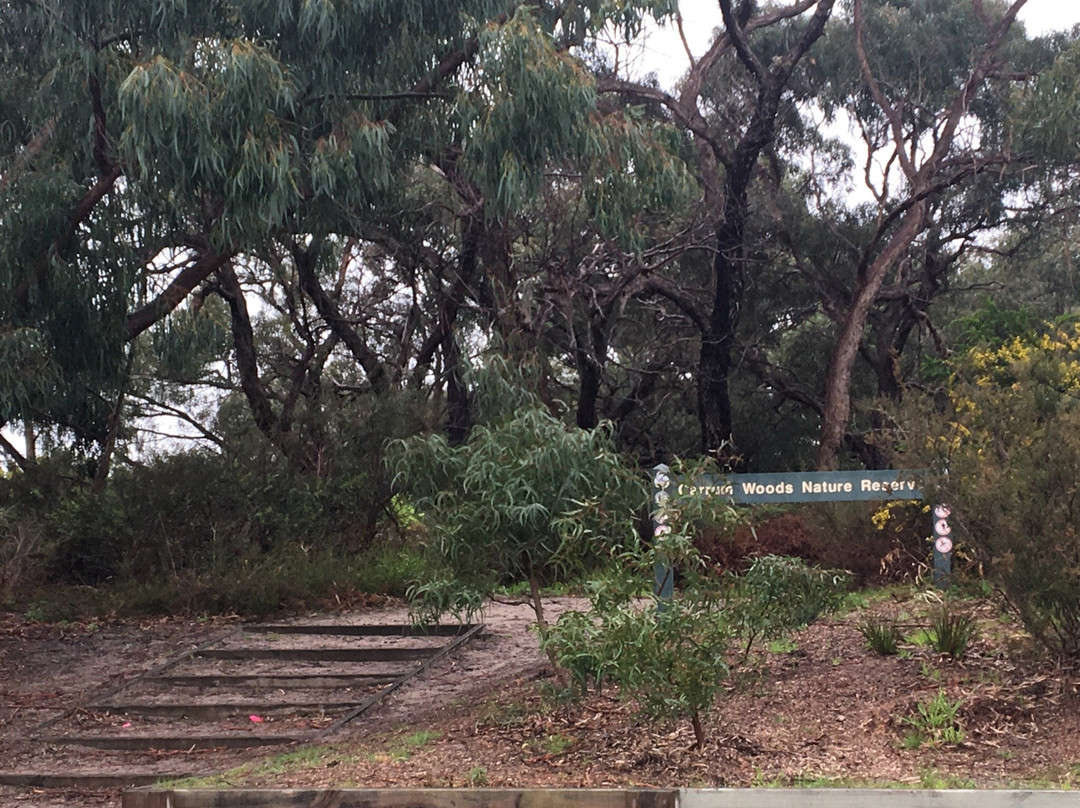 Carrum Woods Reserve景点图片