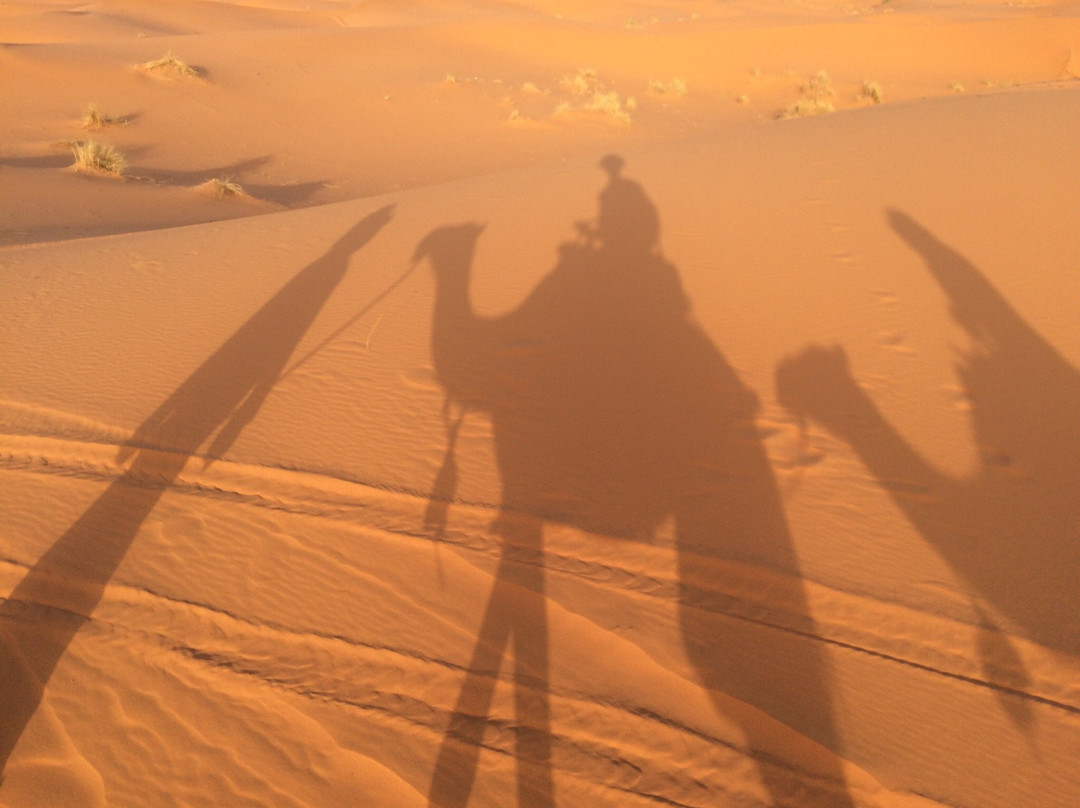 City Tours Morocco-梅如卡必去景点