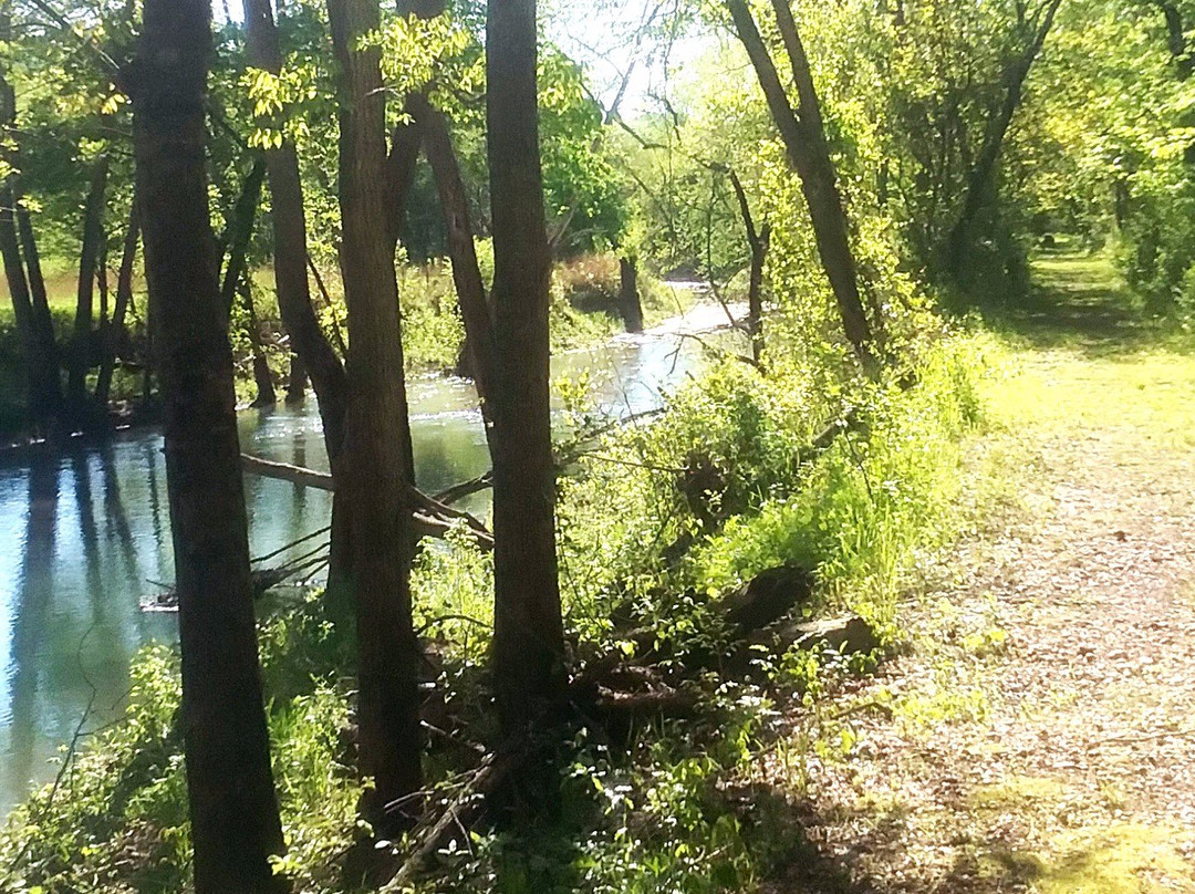 Susan Morrison's Signature Gallery-尤里卡斯普林斯必去景点