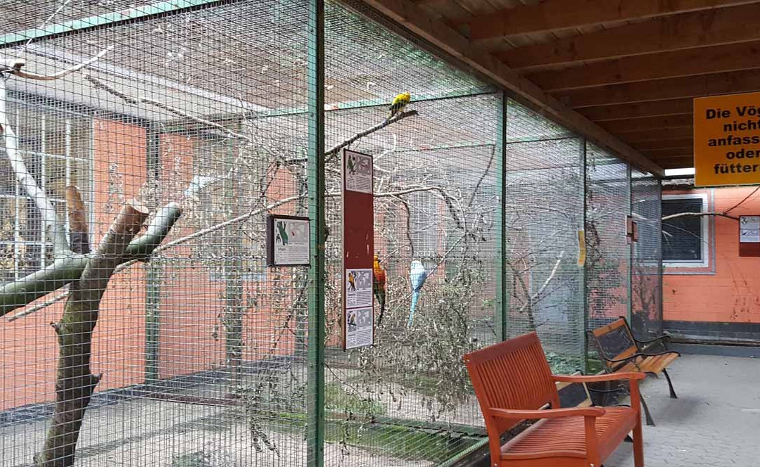 Solinger Vogel- und Tierpark景点图片