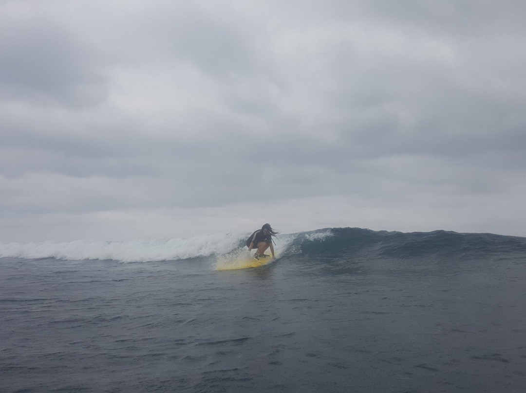 Tru-Sup Fiji-辛加东卡必去景点