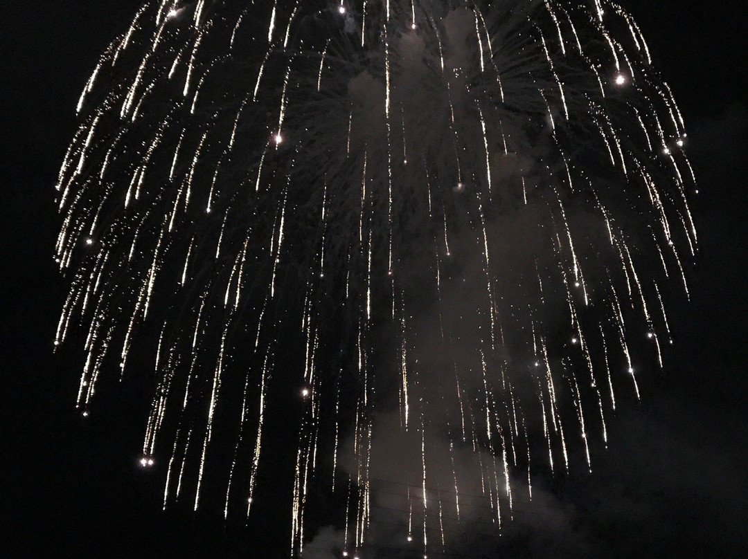 Ojiya Matsuri Fireworks-小千谷市必去景点