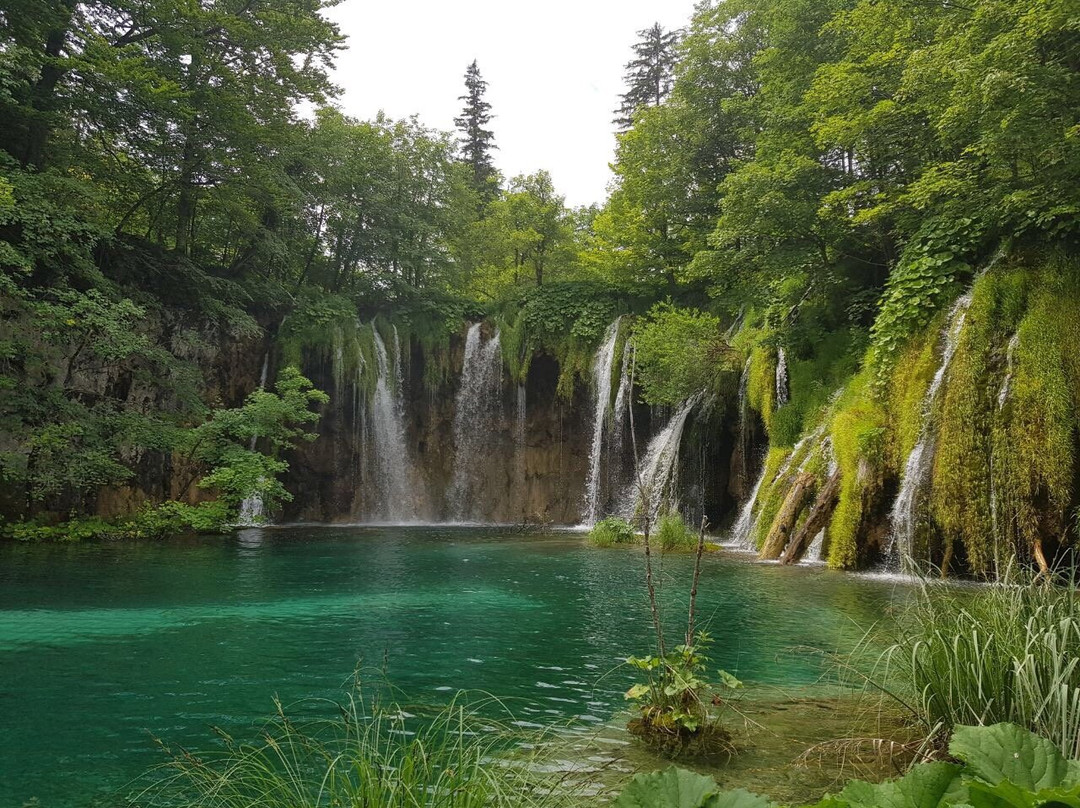 Carpe Diem Travel-扎达尔必去景点