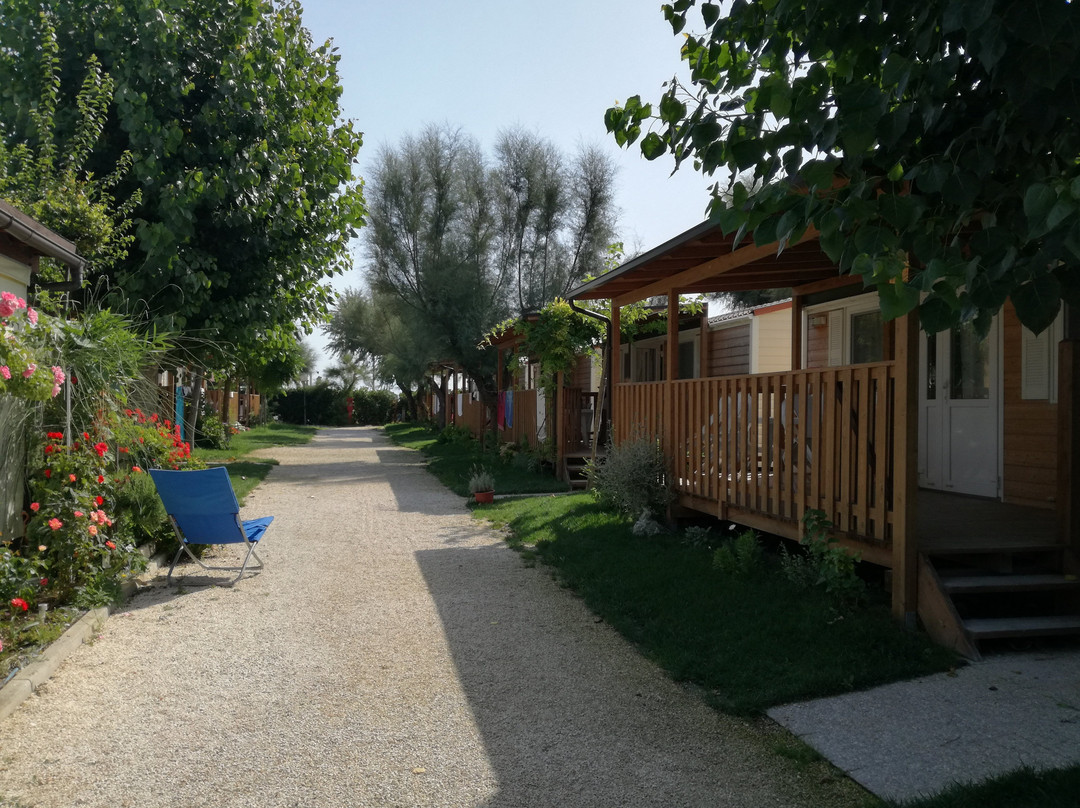 Camping La Medusa