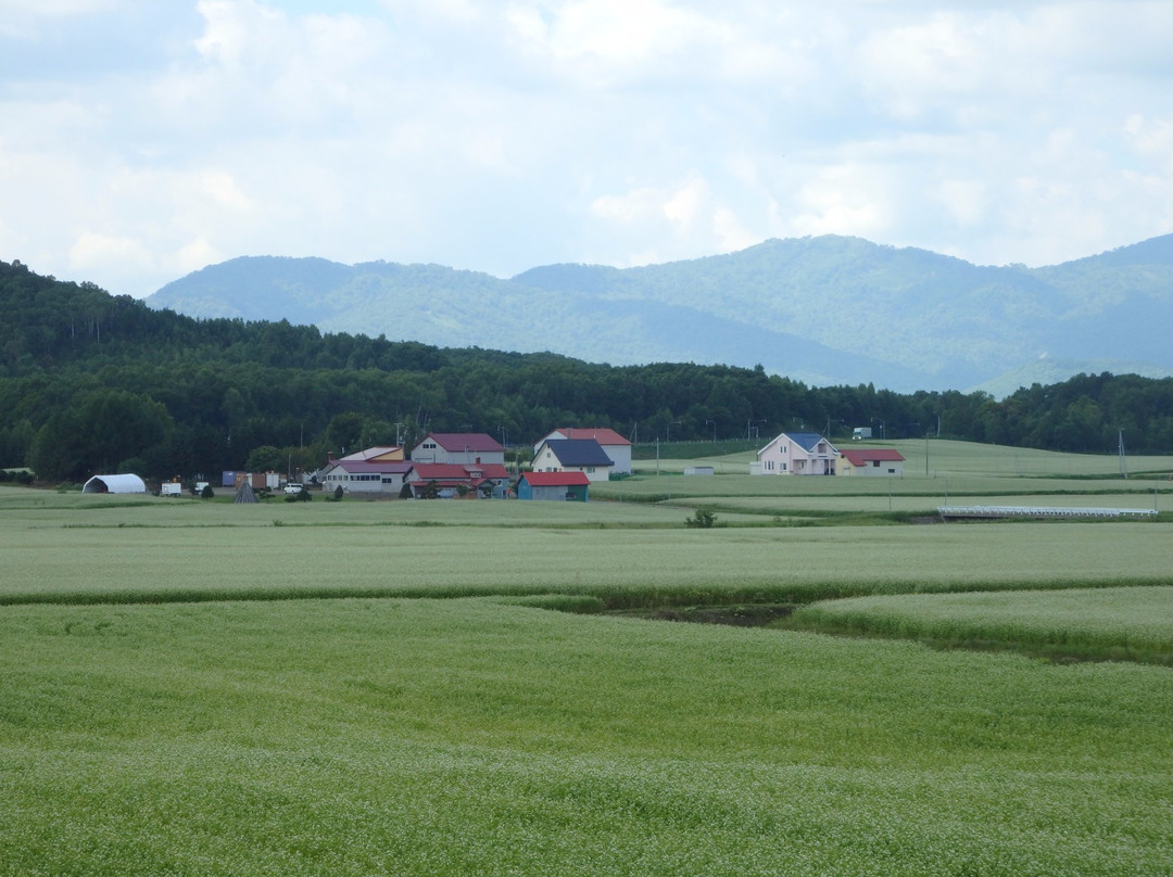 Seiwa View Point-幌加内町必去景点