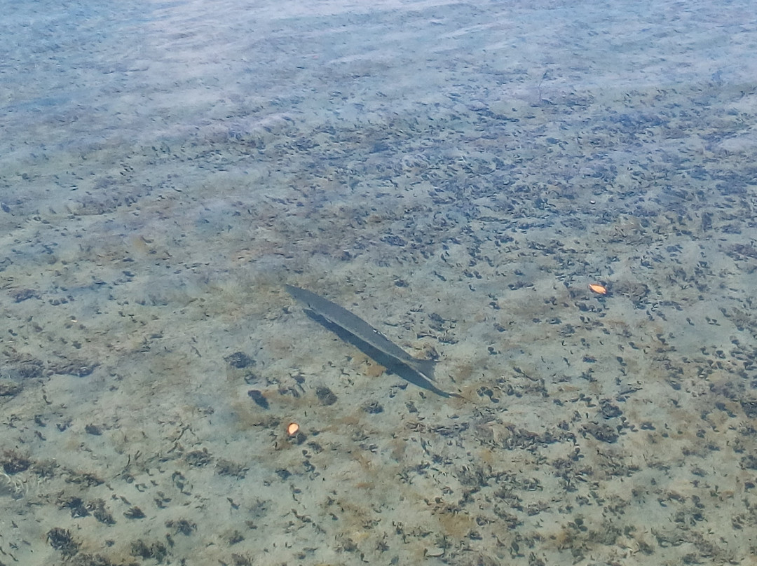 Bonefish Pond National Park-拿骚必去景点