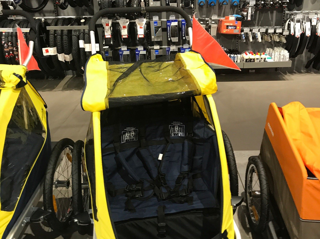 Sportler Climbing Center景点图片