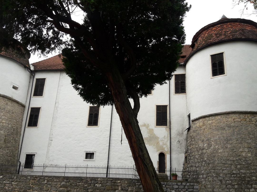 Sevnica Castle-Sevnica必去景点