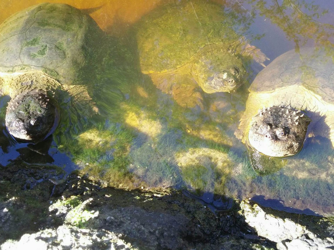 Florida Tech Botanical Garden-墨尔本必去景点
