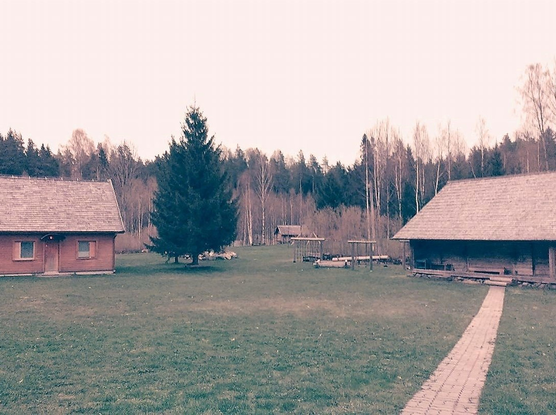 Manniku Metsatalu主图