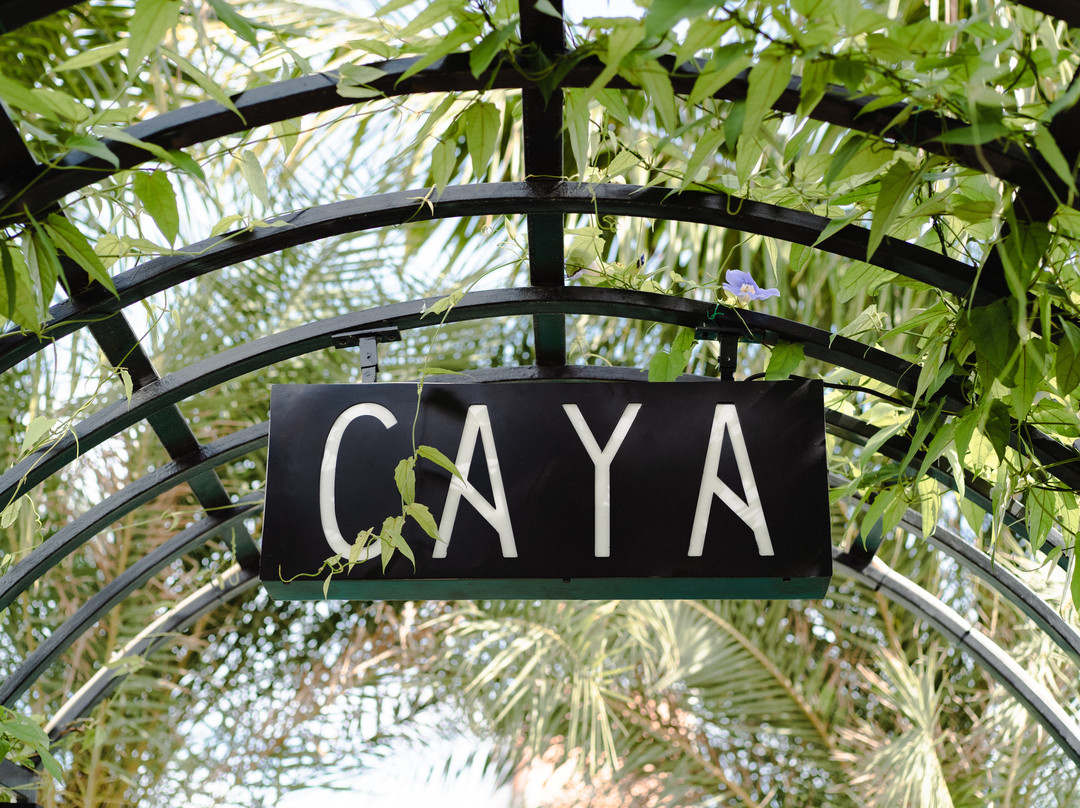 CAYA House