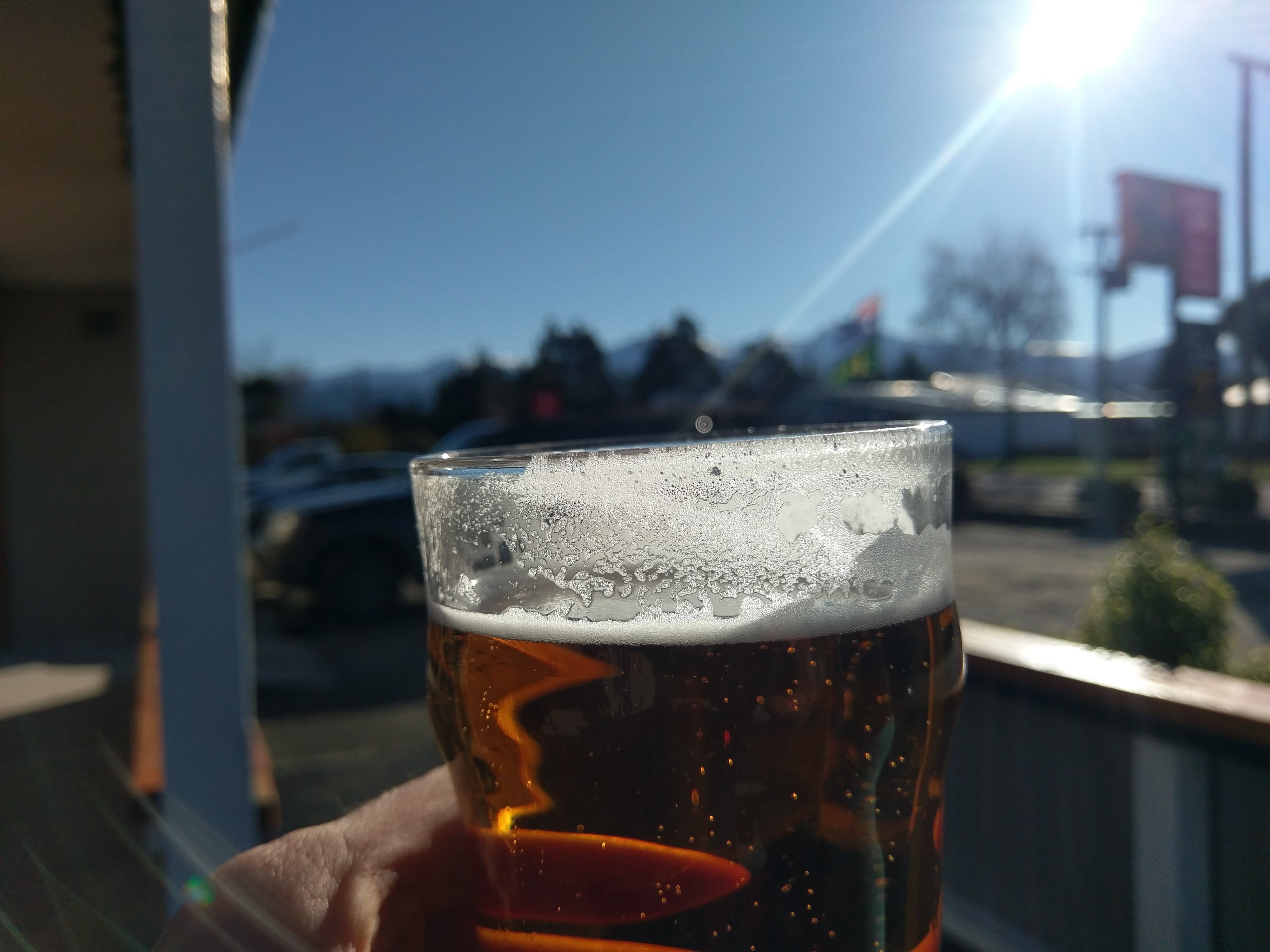 Springfield Hotel and Backpackers-官方
