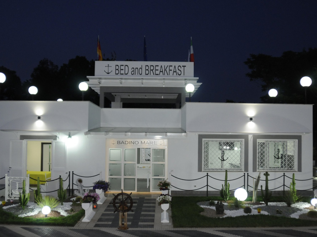 B&B Badino Mare主图