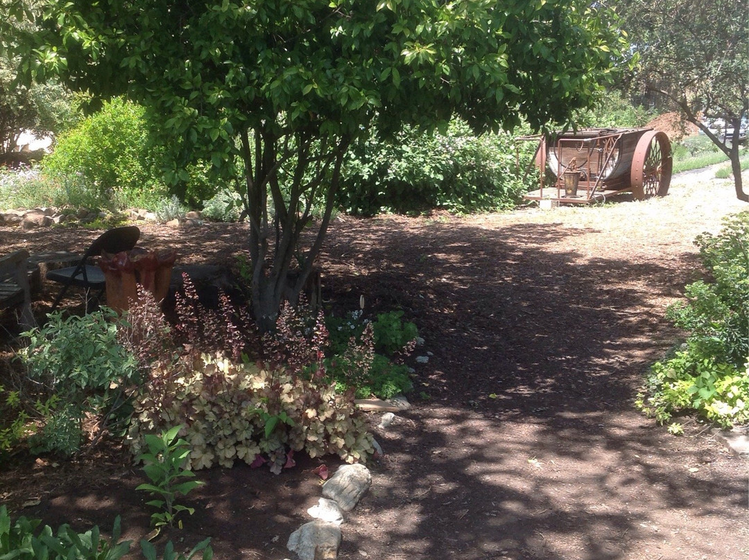 Morningsun Herb Farm-瓦卡维尔必去景点