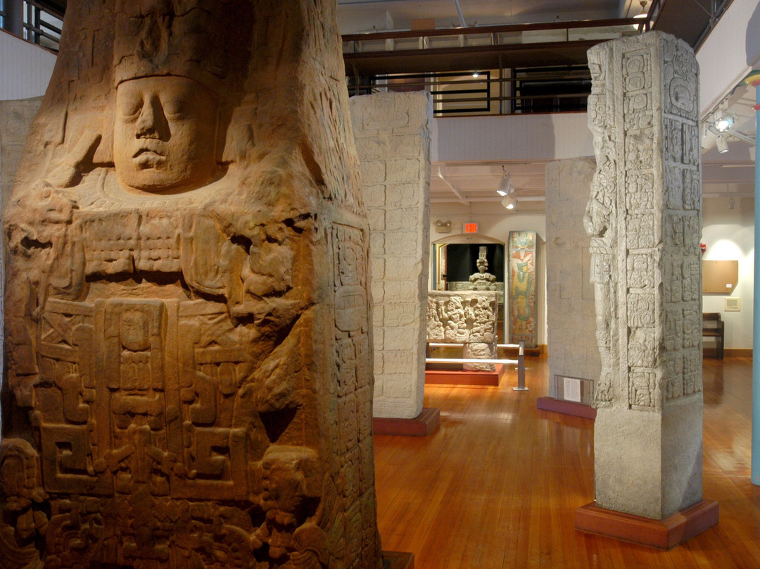 Peabody Museum of Archaeology and Ethnology景点图片