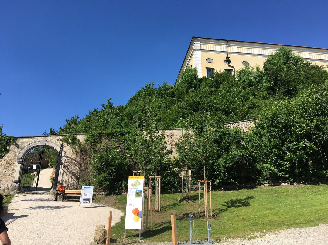 Musikinstrumenten-Museum Schloss Kremsegg景点图片