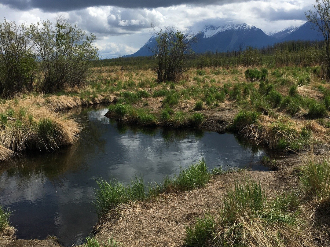 Wasilla Creek Wetlands Trail景点图片