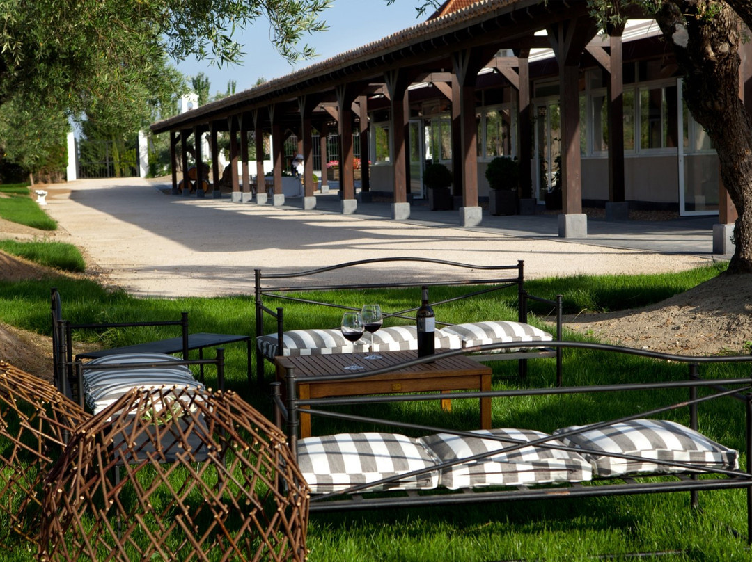 Bodegas y Vinedos Casa del Valle-Yepes必去景点