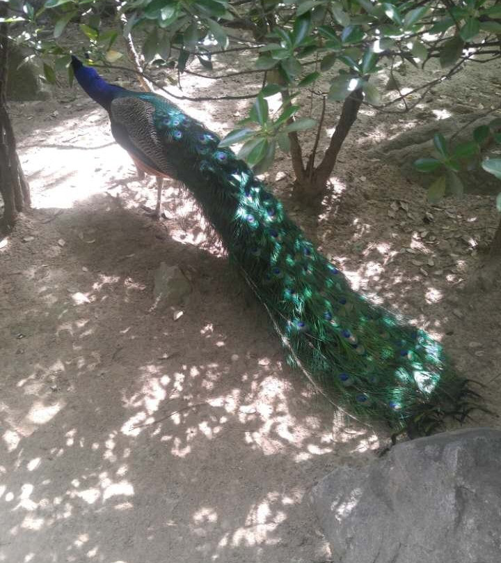 秦岭野生动物园-西安市必去景点